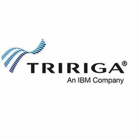 TRIRIGA by IBM: Giải pháp quản lý tòa nhà và không gian